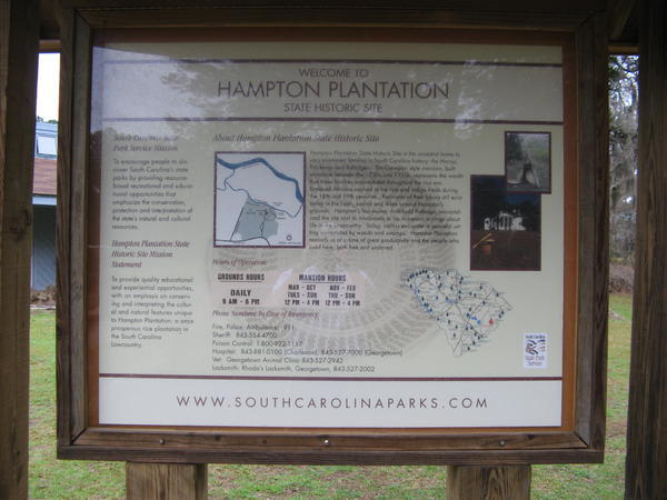 Hampton Plantation Pic 2