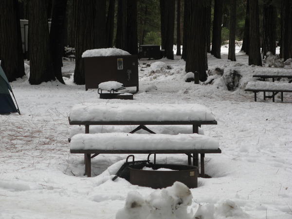 Snow Covered Picnic  Table