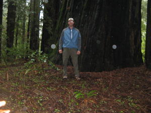  Redwood Pic. 3