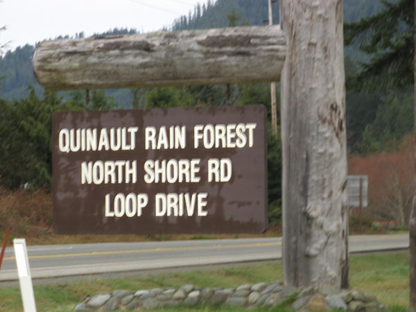 Quinnault Rain Forest