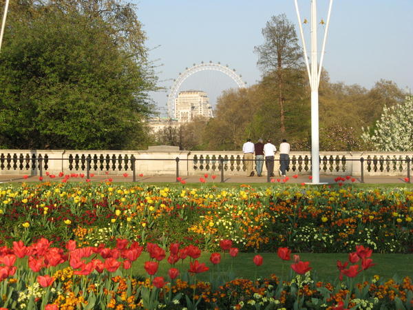 Flowers Near Buckingham Palace