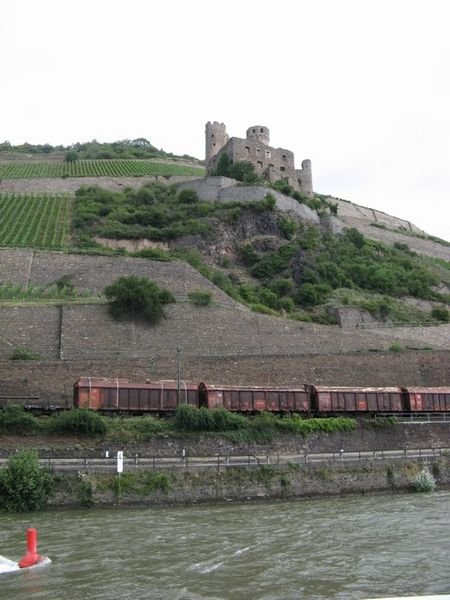 A castle, grapes, train and the Rhine River!