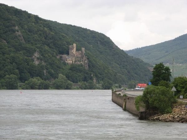 Rhine River Castle