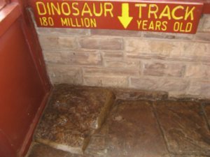 Dinosaur Tracks at Monument Valley