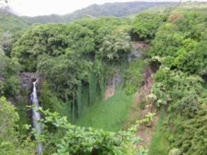 Near 7 Sacred Pools on Maui