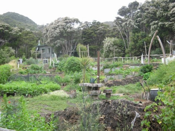 Organic Vegetable Garden on Abel Tasman