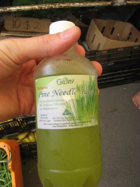 Some Kind of Pine needle drink.  It was pretty good.