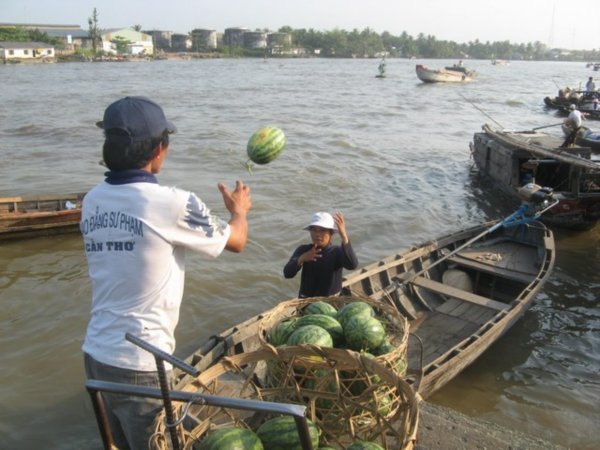 Unloading Watermelons