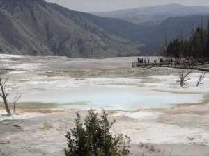 Yellowstone Mammouth Hot Springs
