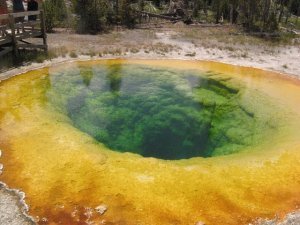 Yellowstone Hot Pools
