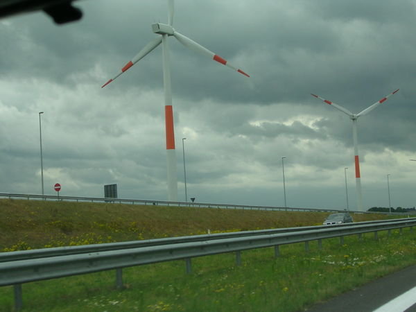 Beautiful Synchronized windmills