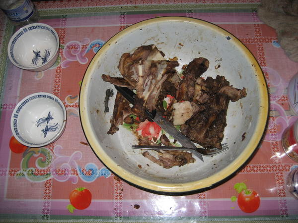 Remains of the spekky meal 