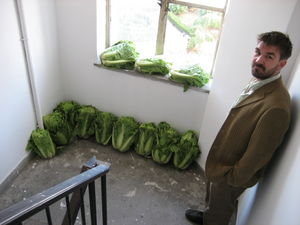 The cabbage patch stairwell
