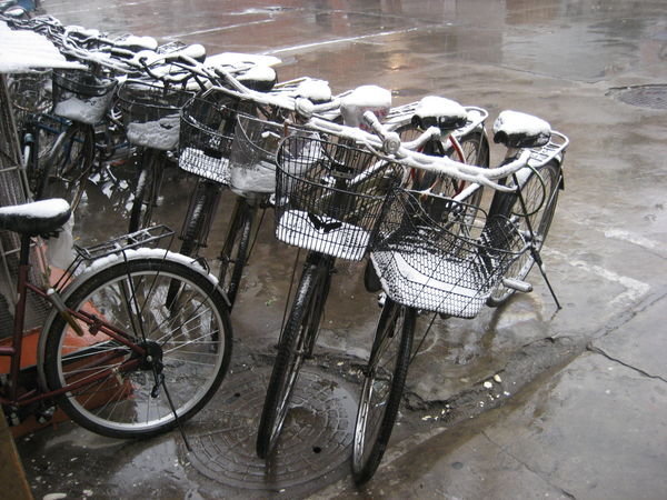 Bikes in the Snow. Hello.