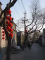 Adventuring in the hutong