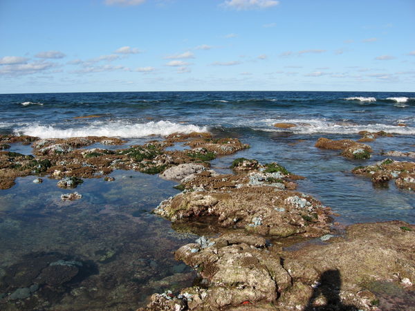 The Reef at Low Tide