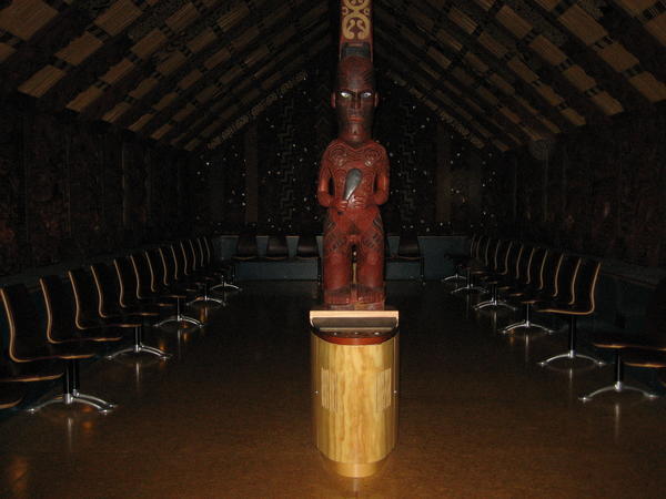 Maori Man