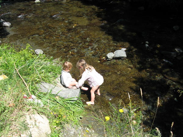 Picnic lunch stop on way to Nelson