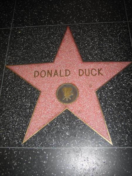 Donald's stjerne!hehe