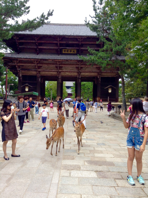 A l'entrée du Tōdai-ji, ils nous accueillent
