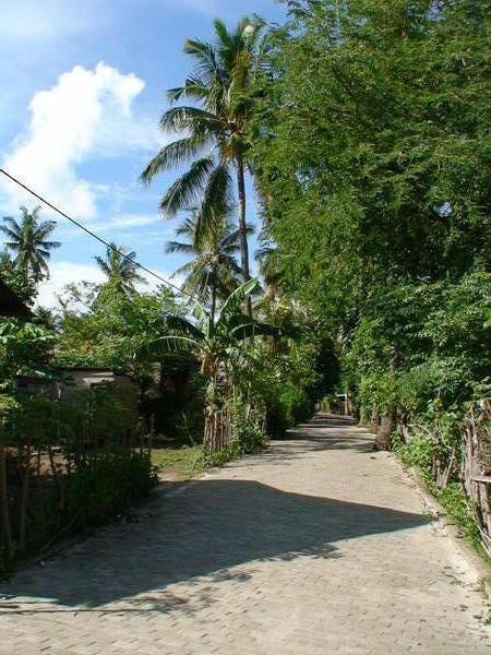 footpath through the village