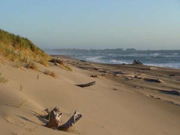 Oregon dunes