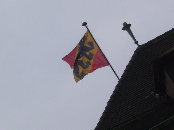 Bern's bear flag