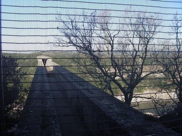 looking out over the top of the aqueduct
