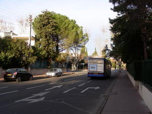 the #6 bus heading downtown
