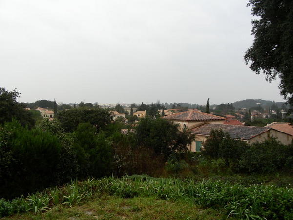 the vista from andrea's backyard