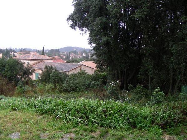 a partial view of the vista, showing also the wild garden that andrea's host father has cultivated