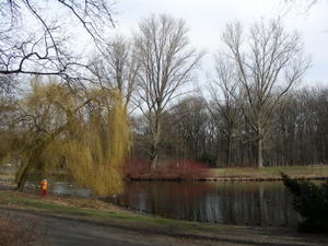 tiergarten. hopefully that is not a whomping willow, or that child is in trouble!