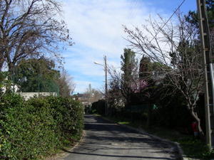 the road to the main road from her driveway