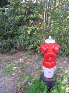 what fire hydrants look like here