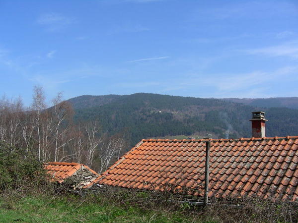 in the cévennes