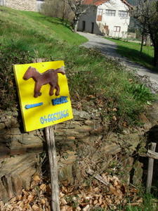 a little sign that's just horsing around