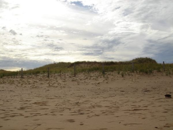 dunes of park point
