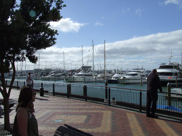 Auckland city marina