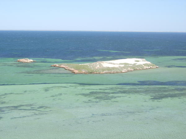 Island off Eagle Bluff
