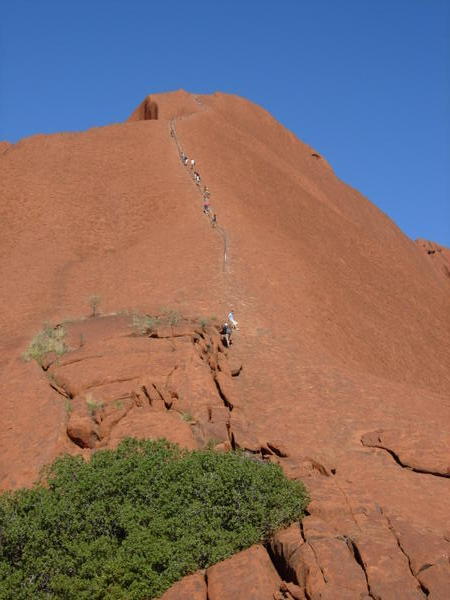 Ant People Climbing Uluru