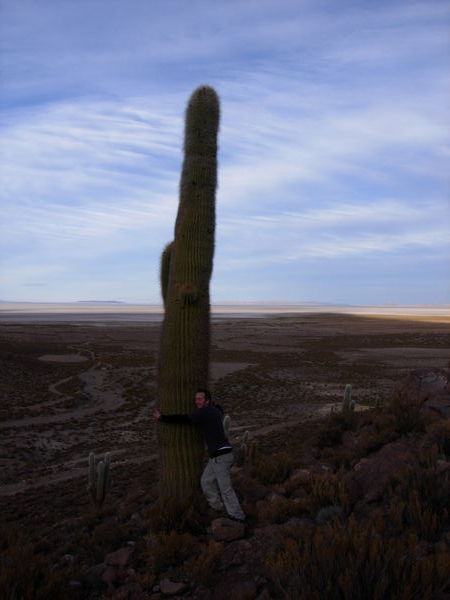 Cactus Hugging - Not Recommended!