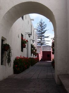 Winding Passages - Santa Catalina
