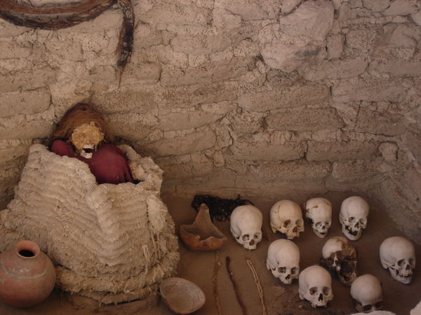 Mummies and Skulls