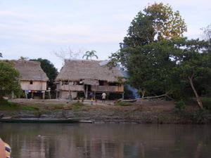 Local Village