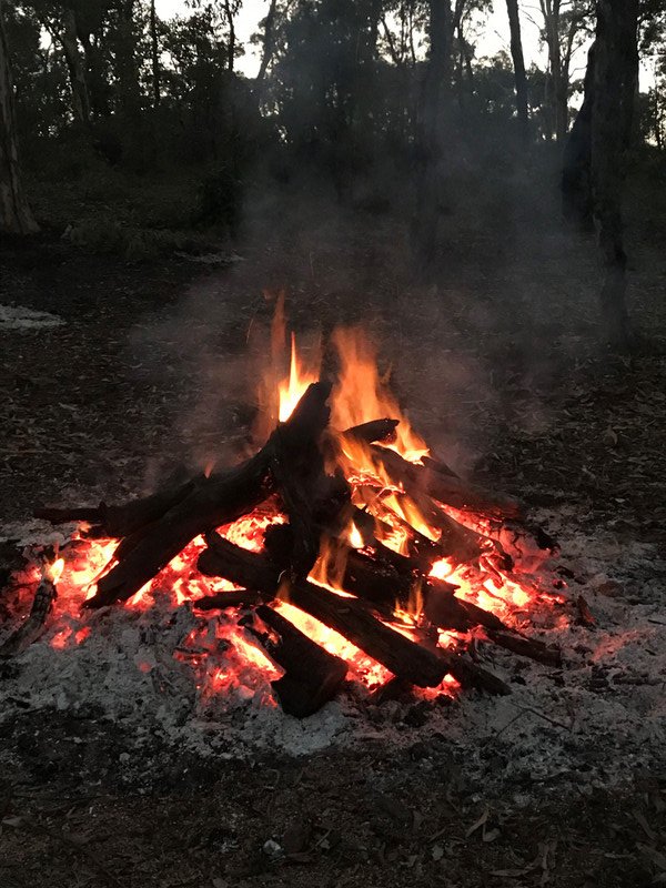 One of Many Bonfires 