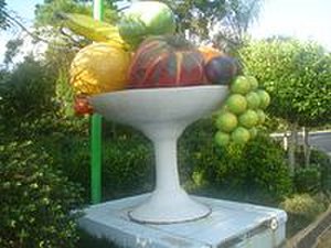 Bilpinworld's largest fruit_bowl