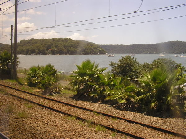 Brisbane Water from the Train
