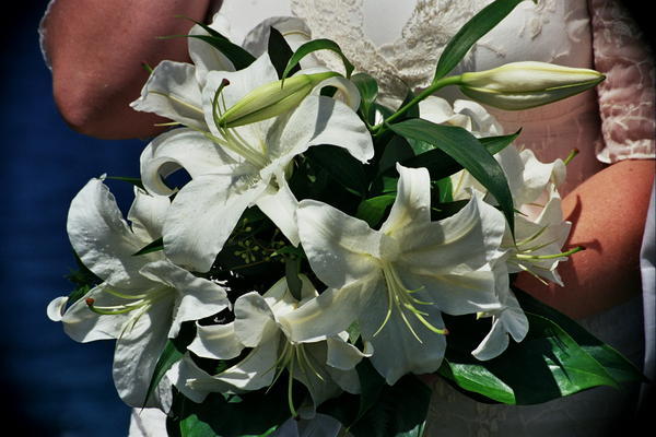 Lillies for the special day