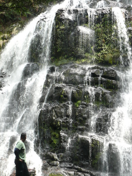 standing at russel falls