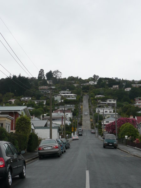 the world's steepest street